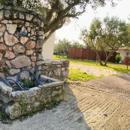 Πετρινη Κατοικια Στην Φυση Villa Tagarades Exterior photo